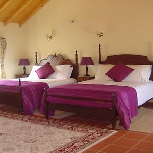 Suite de 1 Dormitorio en Primer Piso